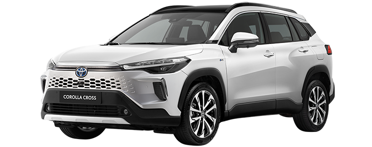 9dd849d8d2cde3879e3376f41b34fc8b